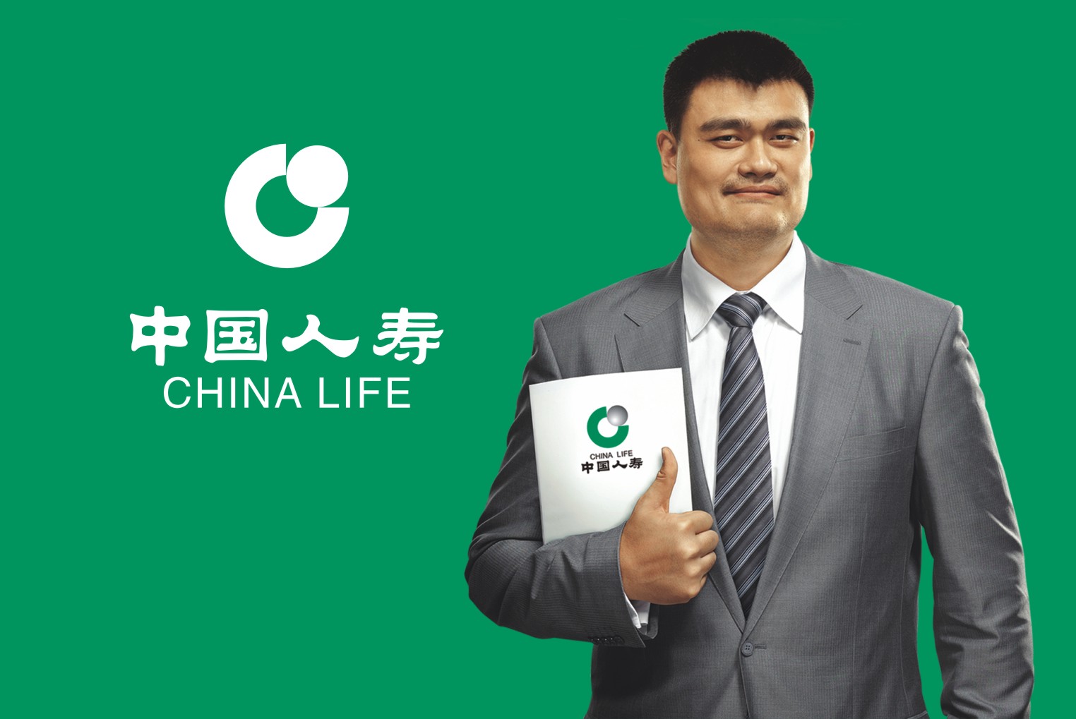 中国人寿品牌策划，VI设计